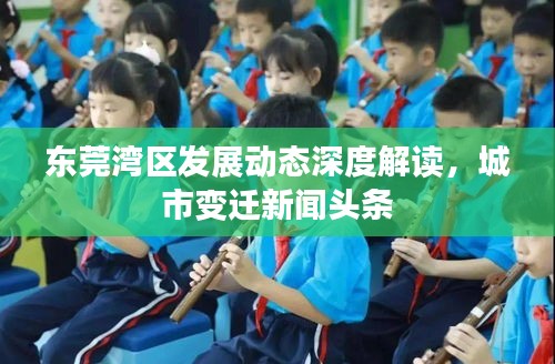 東莞灣區(qū)發(fā)展動態(tài)深度解讀，城市變遷新聞頭條
