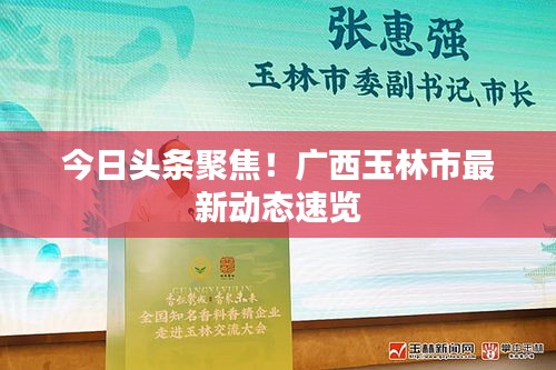 今日頭條聚焦！廣西玉林市最新動態(tài)速覽