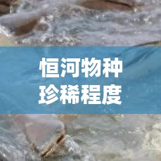 一張一弛 第2頁(yè)