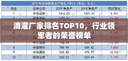 滴灌廠家排名TOP10，行業(yè)領(lǐng)軍者的榮譽(yù)榜單