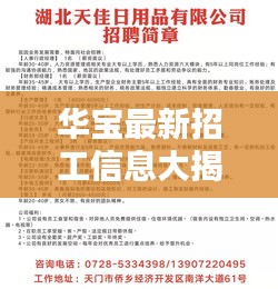 華寶最新招工信息大揭秘，一站式求職平臺(tái)，優(yōu)質(zhì)崗位等你來(lái)挑戰(zhàn)！