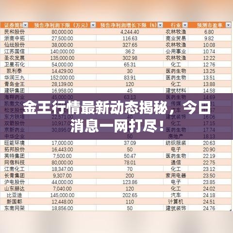 金王行情最新動(dòng)態(tài)揭秘，今日消息一網(wǎng)打盡！