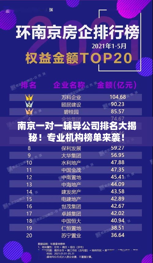 南京一對一輔導公司排名大揭秘！專業(yè)機構榜單來襲！