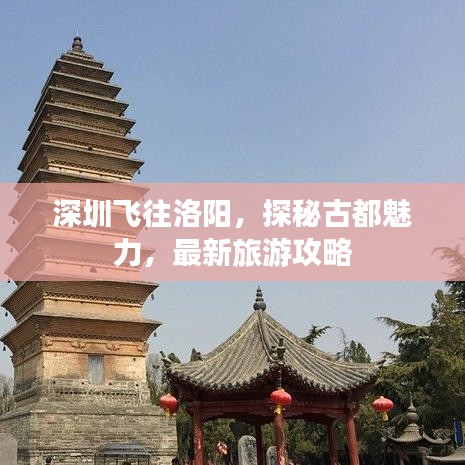 深圳飛往洛陽，探秘古都魅力，最新旅游攻略