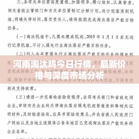 河南淘汰雞今日行情，最新價格與深度市場分析