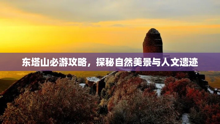 東塔山必游攻略，探秘自然美景與人文遺跡