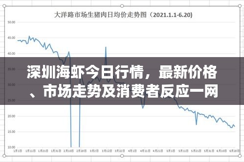 深圳海蝦今日行情，最新價(jià)格、市場(chǎng)走勢(shì)及消費(fèi)者反應(yīng)一網(wǎng)打盡