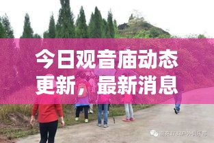 今日觀音廟動態(tài)更新，最新消息一覽