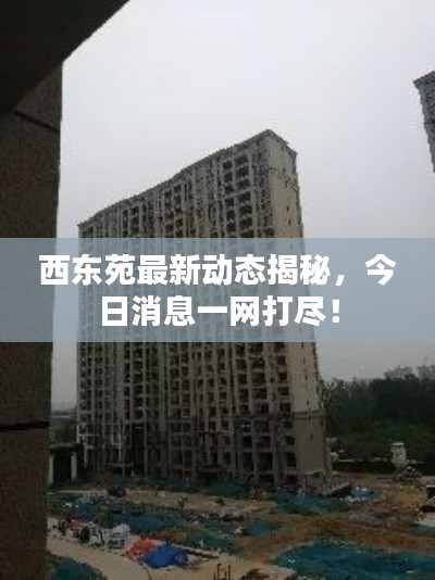 西東苑最新動態(tài)揭秘，今日消息一網(wǎng)打盡！