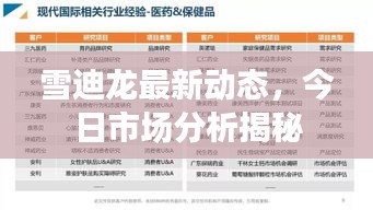 雪迪龍最新動態(tài)，今日市場分析揭秘