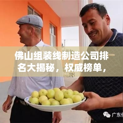 佛山組裝線制造公司排名大揭秘，權(quán)威榜單，行業(yè)巨頭一網(wǎng)打盡！