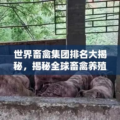 世界畜禽集團(tuán)排名大揭秘，揭秘全球畜禽養(yǎng)殖巨頭榜單