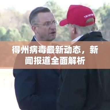 得州病毒最新動(dòng)態(tài)，新聞報(bào)道全面解析