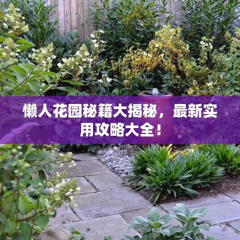 懶人花園秘籍大揭秘，最新實用攻略大全！