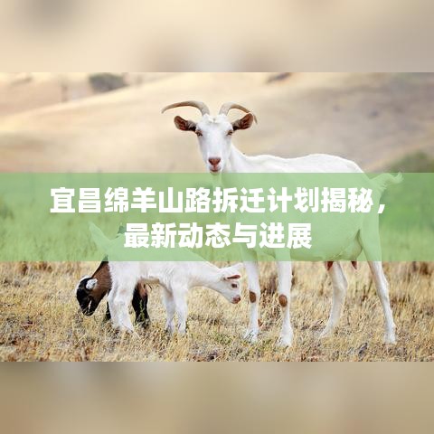 宜昌綿羊山路拆遷計(jì)劃揭秘，最新動(dòng)態(tài)與進(jìn)展