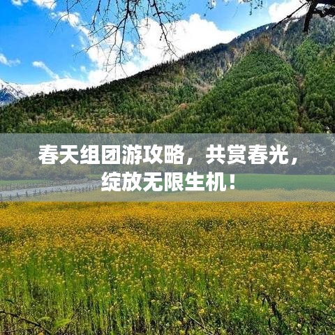 春天組團(tuán)游攻略，共賞春光，綻放無(wú)限生機(jī)！