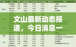 文山最新動態(tài)報道，今日消息一網(wǎng)打盡！