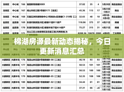 棉湖房源最新動(dòng)態(tài)揭秘，今日更新消息匯總