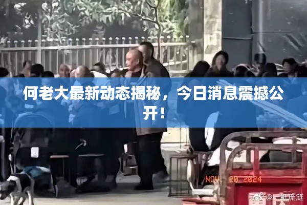 何老大最新動(dòng)態(tài)揭秘，今日消息震撼公開！