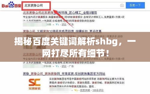 揭秘百度關(guān)鍵詞解析shbg，一網(wǎng)打盡所有細(xì)節(jié)！