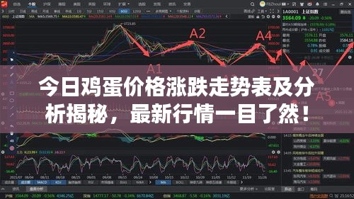 今日雞蛋價格漲跌走勢表及分析揭秘，最新行情一目了然！