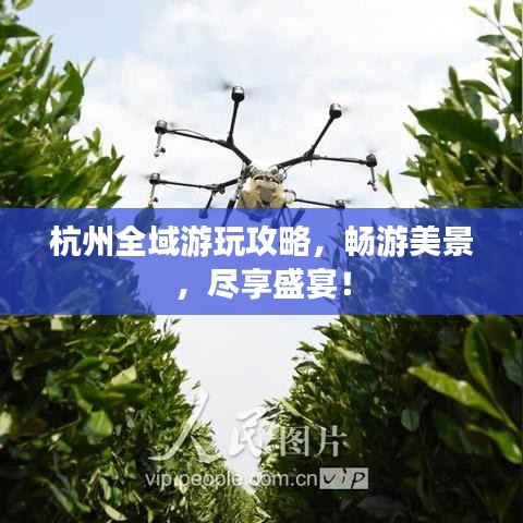 杭州全域游玩攻略，暢游美景，盡享盛宴！