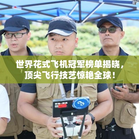 吉光片羽 第2頁