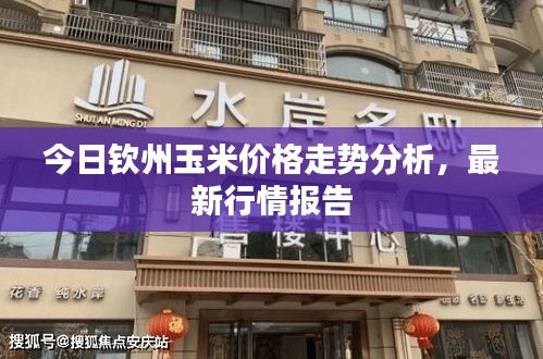只爭(zhēng)朝夕 第2頁(yè)