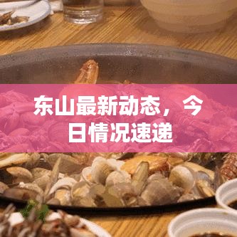 東山最新動態(tài)，今日情況速遞