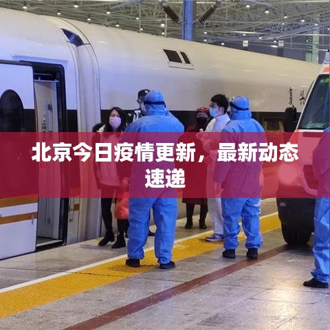 北京今日疫情更新，最新動態(tài)速遞