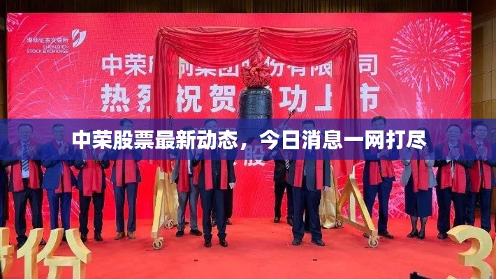 中榮股票最新動態(tài)，今日消息一網打盡