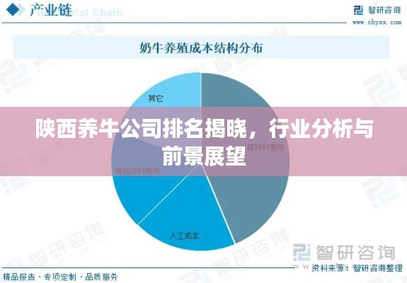 陜西養(yǎng)牛公司排名揭曉，行業(yè)分析與前景展望
