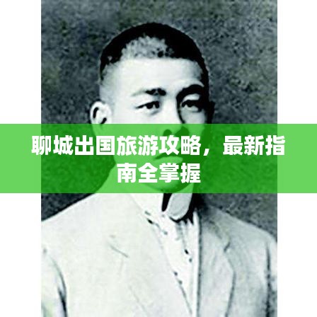 聊城出國旅游攻略，最新指南全掌握