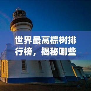 世界最高棕樹排行榜，揭秘哪些棕樹高聳入云！