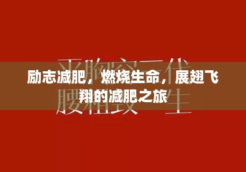 勵(lì)志減肥，燃燒生命，展翅飛翔的減肥之旅