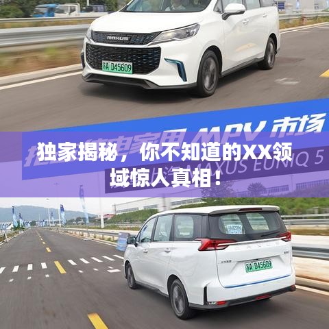獨家揭秘，你不知道的XX領(lǐng)域驚人真相！