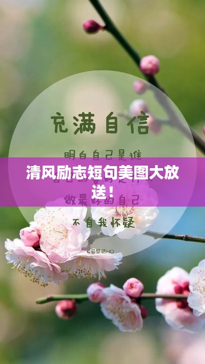 清風(fēng)勵志短句美圖大放送！
