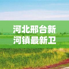 河北邢臺新河鎮(zhèn)最新衛(wèi)星地圖全景，古鎮(zhèn)新貌揭秘