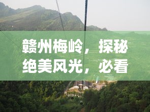 贛州梅嶺，探秘絕美風(fēng)光，必看的旅游攻略！