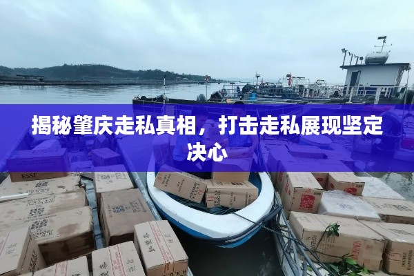 揭秘肇慶走私真相，打擊走私展現(xiàn)堅(jiān)定決心