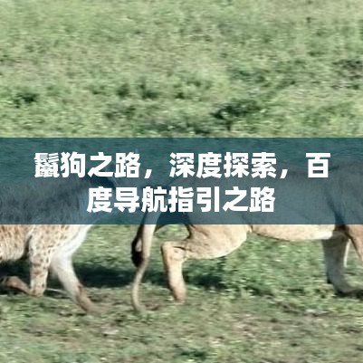 鬣狗之路，深度探索，百度導(dǎo)航指引之路
