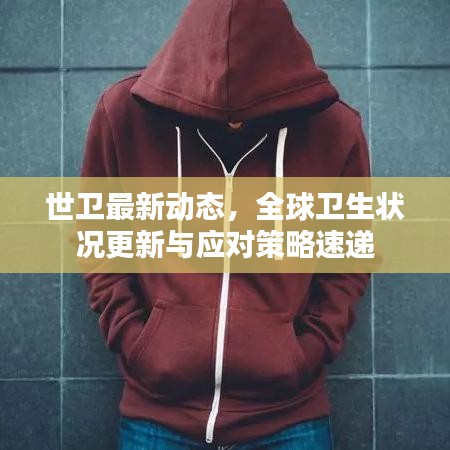 世衛(wèi)最新動態(tài)，全球衛(wèi)生狀況更新與應(yīng)對策略速遞