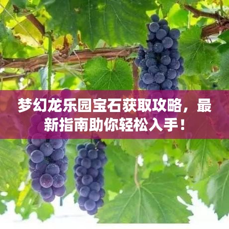 夢(mèng)幻龍樂(lè)園寶石獲取攻略，最新指南助你輕松入手！