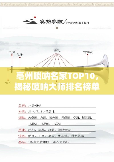 亳州嗩吶名家TOP10，揭秘嗩吶大師排名榜單！