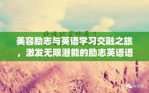 美容勵志與英語學(xué)習(xí)交融之旅，激發(fā)無限潛能的勵志英語語錄