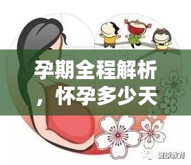 孕期全程解析，懷孕多少天會(huì)分娩？