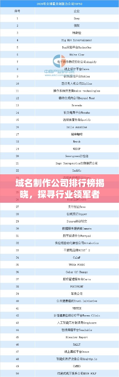 域名制作公司排行榜揭曉，探尋行業(yè)領(lǐng)軍者