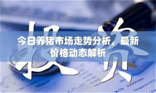 今日養(yǎng)豬市場(chǎng)走勢(shì)分析，最新價(jià)格動(dòng)態(tài)解析