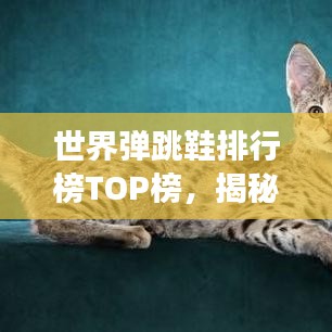 世界彈跳鞋排行榜TOP榜，揭秘彈跳力最強的鞋款！