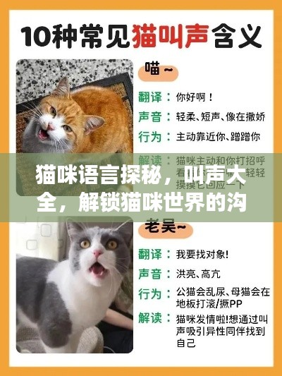 貓咪語言探秘，叫聲大全，解鎖貓咪世界的溝通密碼！